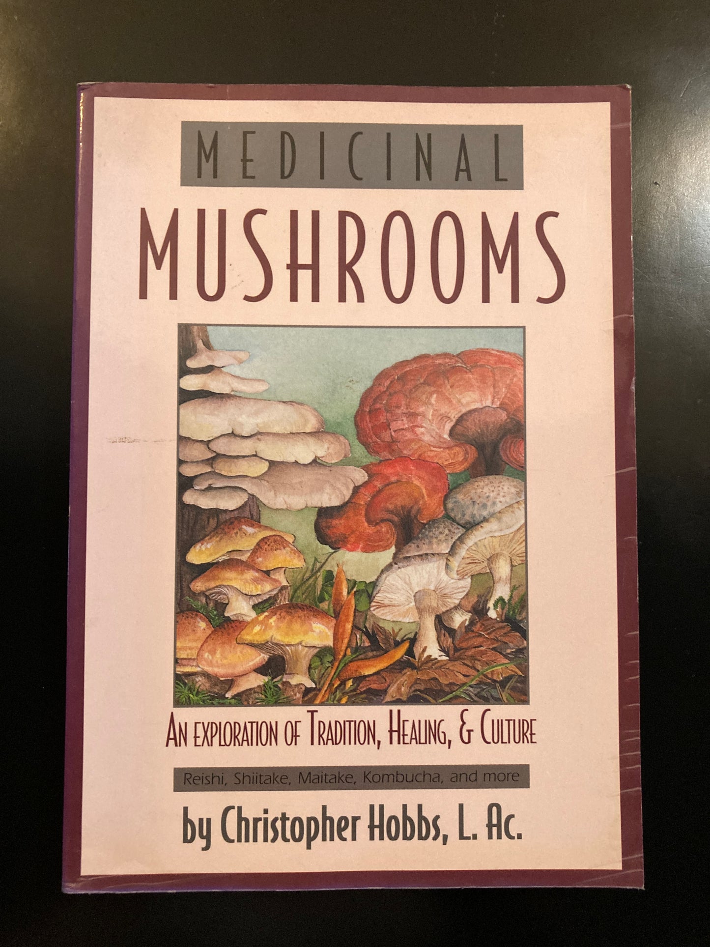 Medicinal Mushrooms